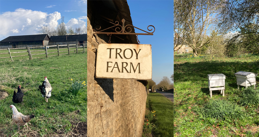 Views from Troy Farm